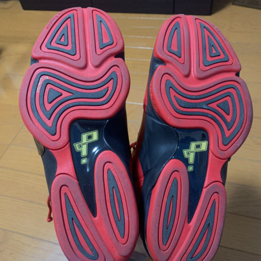 その他 AIR PIPPEN