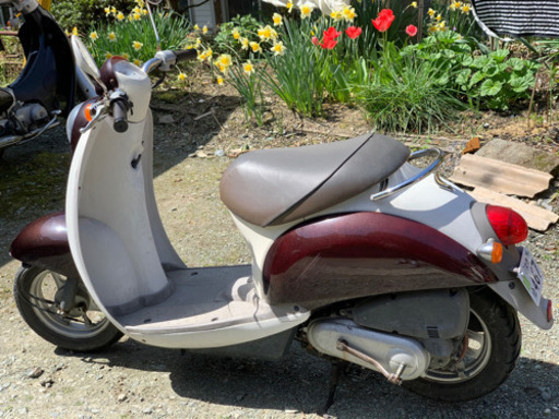原付バイク　スクーピー　修理済み