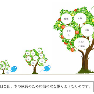 本格的な瞑想を教えます　超越瞑想（TM）　無料説明会（個別・要予約）の画像