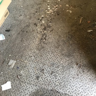 スーパーハウス　(配送不可)の画像