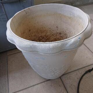 植木鉢その他ガーデニンググッズ もらってくださいの画像