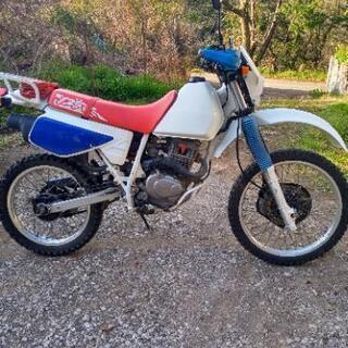 XLR125R 低走行　美車の画像
