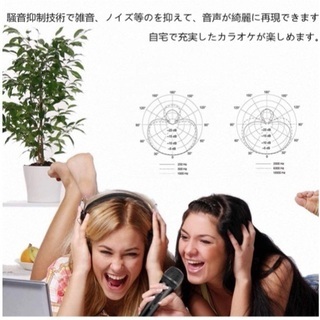 USBマイク　カラオケ　ゲーム　スイッチ　ウィーの画像