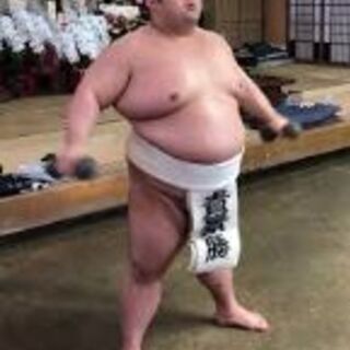 相撲好き募集 - メンバー募集