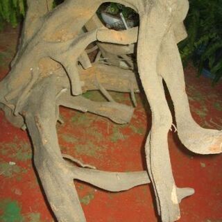 古木　店舗のディスプレーやオブジェにいかがですか　植物は出品外です。の画像