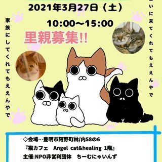 猫の譲渡会 IN 豊明 ～ ちーむ にゃいんず 2021年3月2...