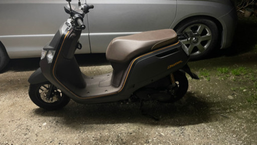 原付　ホンダ　ダンク　中古