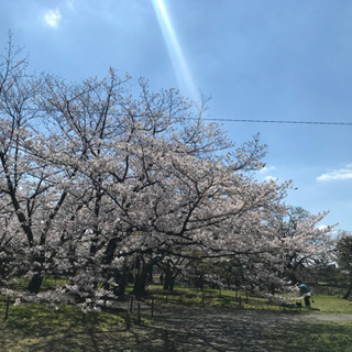 日本語を教えます！日本での生活、お仕事探しに支援！の画像