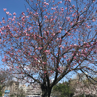 日本語を教えます！日本での生活、お仕事探しに支援！