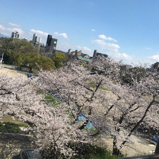 日本語を教えます！日本での生活、お仕事探しに支援！の画像