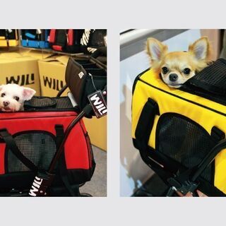 WILLAMAZING　台湾製　ミニサイズペット用 キャリーバッグ　PB-03　ブルーの画像