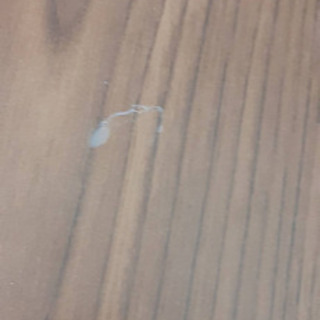 受け渡し決まりした。コタツの画像