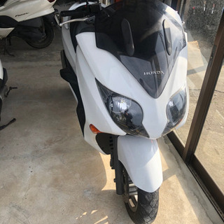 決まりました。　HONDAホンダ　FORZAフォルツアZ MF1...