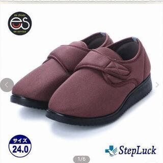 ■新品　24センチ■