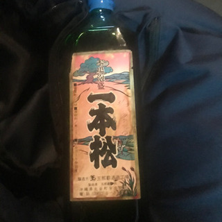 めったに無い角瓶の一本松