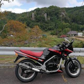 ホンダ VT250FE
