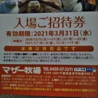 無料　マザー牧場　入場券2枚の画像
