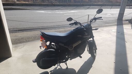 ホンダ ナビ 110 (Honda Navi 110) 黒  純正