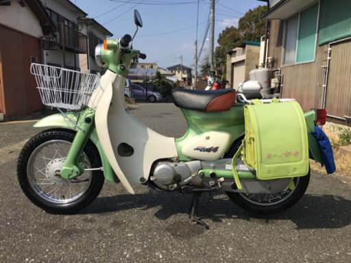 自賠責令和6年6月付　リトルカブ50  乗って帰れます。条件値引きあり。