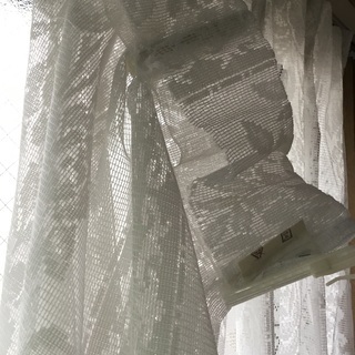 レースのカーテン2枚とビニール傘2本の画像