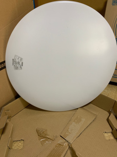 LED 電球