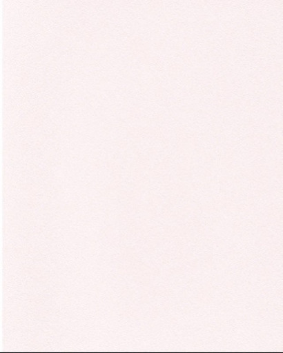 こちら決まりました