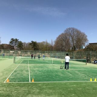 🎾水戸でテニスしませんか - 水戸市