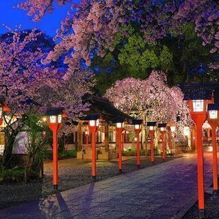神社仏閣巡りされてる方😄宮司さんと一緒にお話したり、参拝しませんか？？ - 大阪市