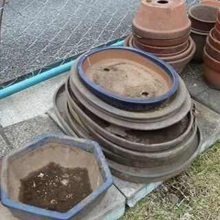 盆栽用平鉢