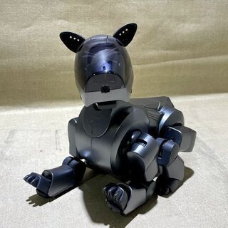 【苫小牧バナナ】】治療・ドナー前提※ SONY/ソニー AIBO...