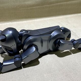 【苫小牧バナナ】】治療・ドナー前提※ SONY/ソニー AIBO/アイボ ERS-210A エンターテインメント ロボット 犬型 わんこ 訳あり 元箱付き 付属充実の画像