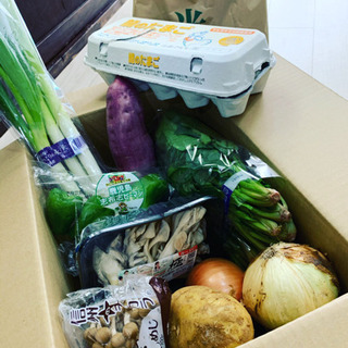 ◆完全売切！◆高級龍のたまご＋米農家直送あきたこまち＋野菜詰め合...