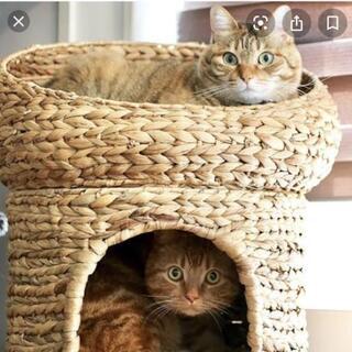 ☆猫ちぐら☆猫砂付き