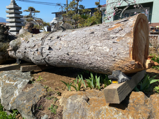 マキ大量！！強者求む！！