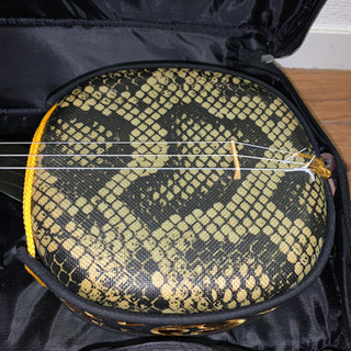 三線（カラクイ1本欠損）の画像