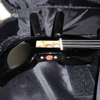 三線（カラクイ1本欠損）の画像