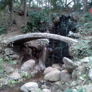 噴水好き　風水好き　募集 - その他