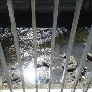 噴水好き　風水好き　募集 - メンバー募集