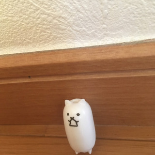 タンク猫