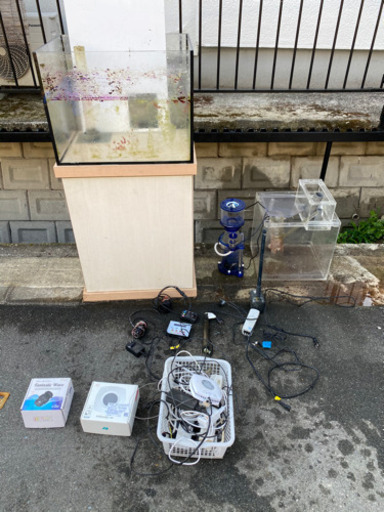 海水魚飼育セット