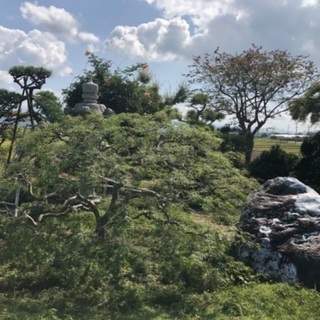 休日に出来る庭仕事、外構仕事を探しています！