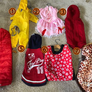 【無料】小型犬用の服（ハンガー付き）