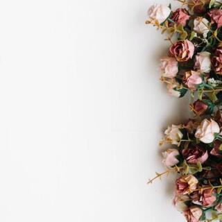 ❣️占い仲間募集中🔮女性限定❣️ - 練馬区