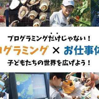【堀江こどもプログラミング】プログラミング「だけ」じゃない！自然...