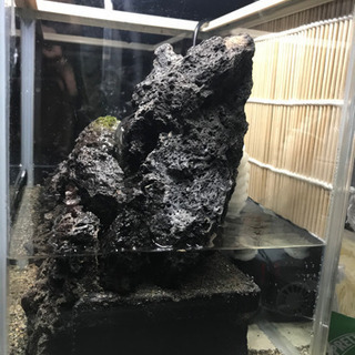 譲り先決定　小さな自然水槽　水中モーター・背景すだれ付き　癒し・水の音の画像