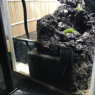 譲り先決定　小さな自然水槽　水中モーター・背景すだれ付き　癒し・水の音の画像