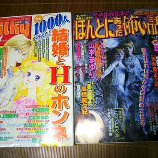 女性マンガ雑誌微熱、主婦たち、KISS,コミックフィズ、アムールなど19冊の画像