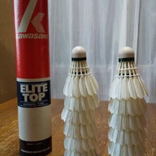 バドミントン シャトルコックス