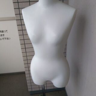 女性トルソーの画像
