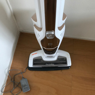 エレクトロラックス エルゴラピード